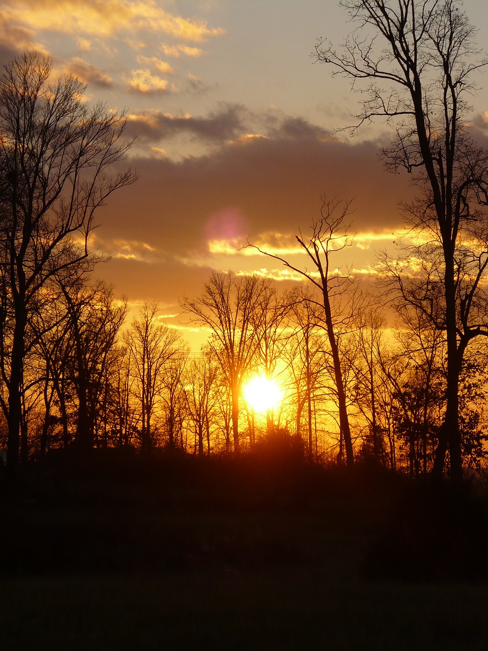 sunset forest mountain free photo