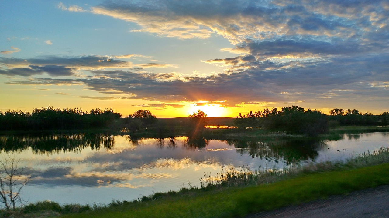 sunset golden summer free photo