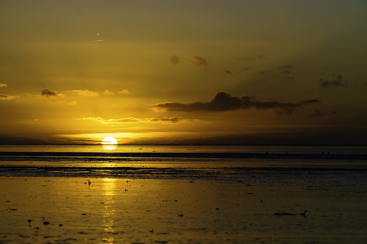 sunset wadden sea norddeich free photo