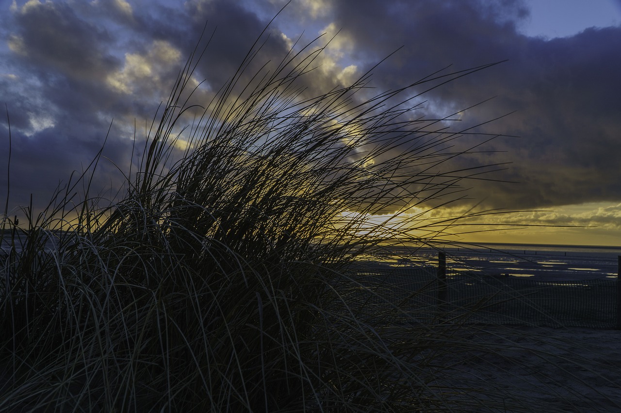 sunset wadden sea norddeich free photo