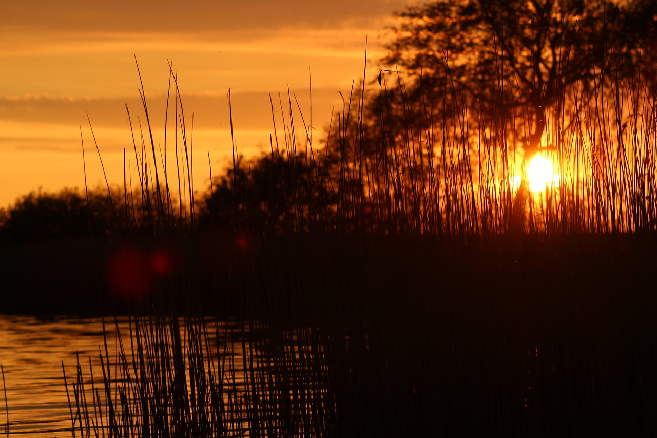 sunset lake abendstimmung free photo