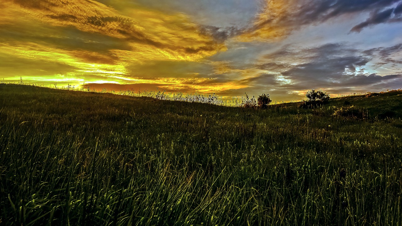 sunset grass silence free photo