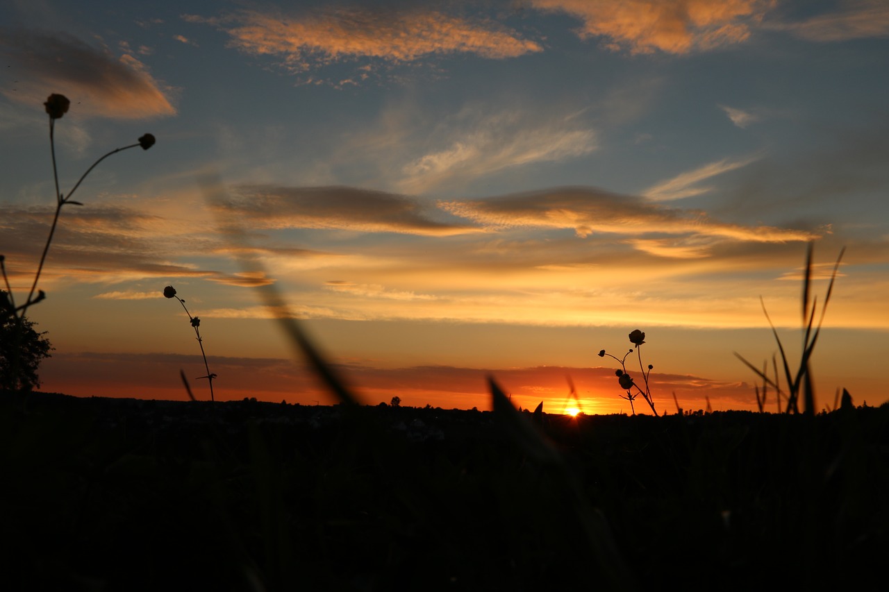 sunset evening sky meadow free photo