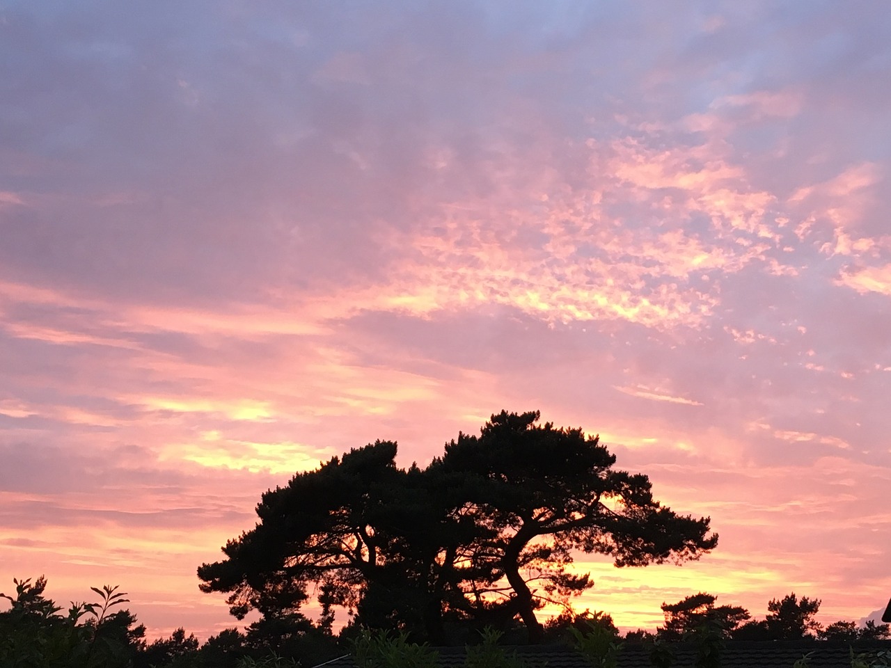 sunset evening red summer night free photo