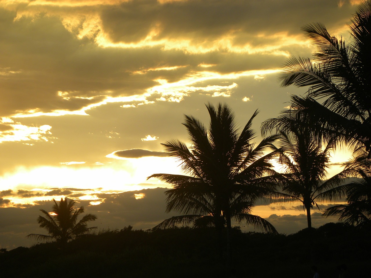 sunset silhouette beach free photo