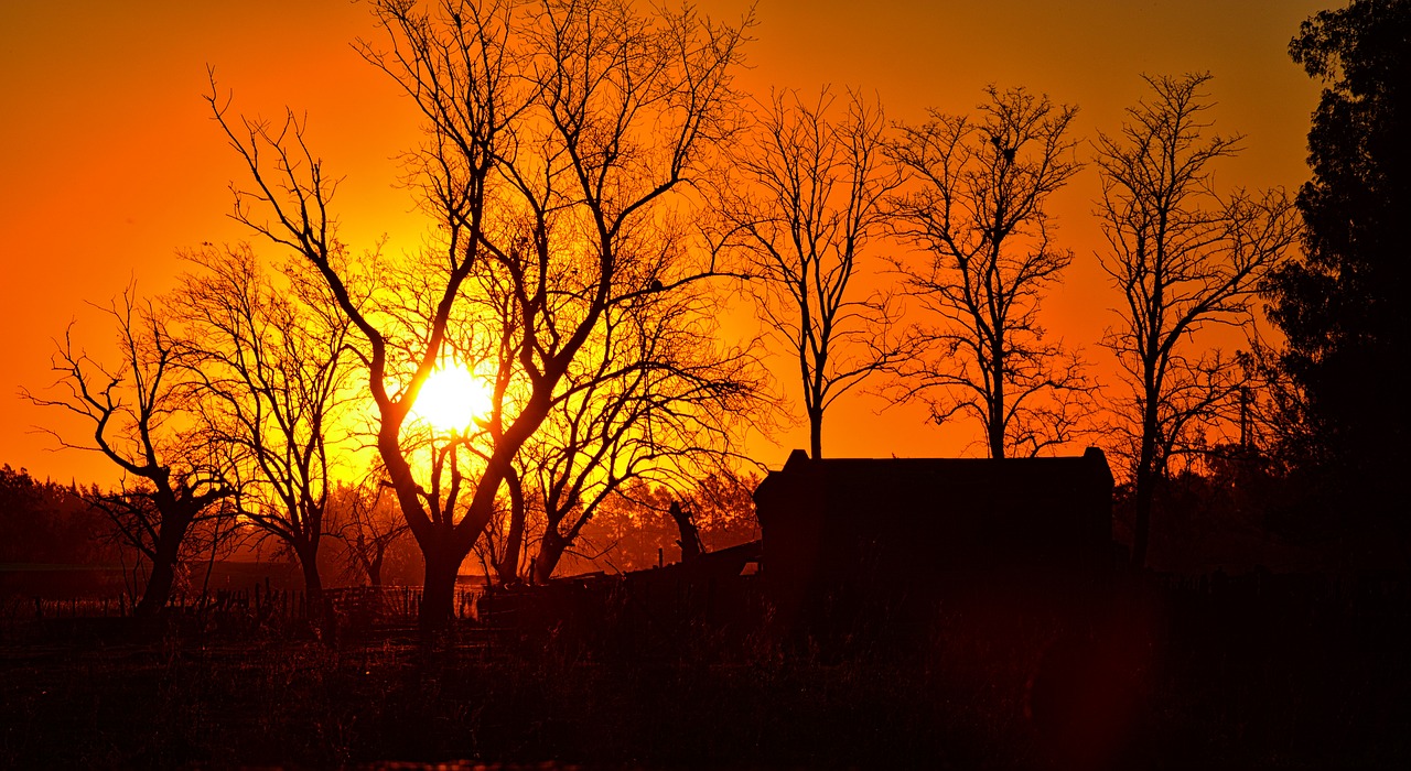 sunset sun field free photo