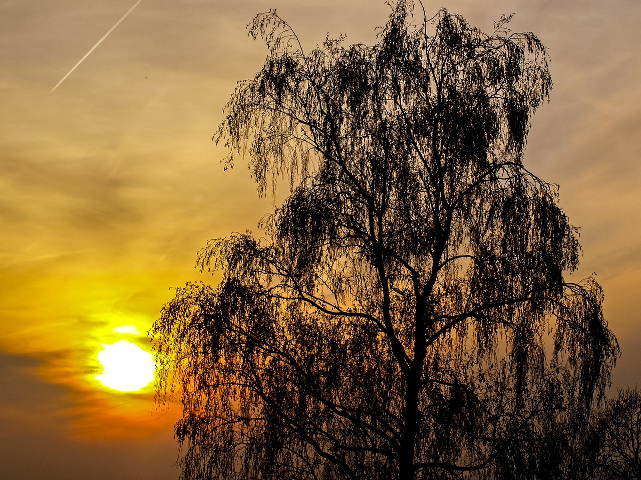 sunset landscape evening free photo