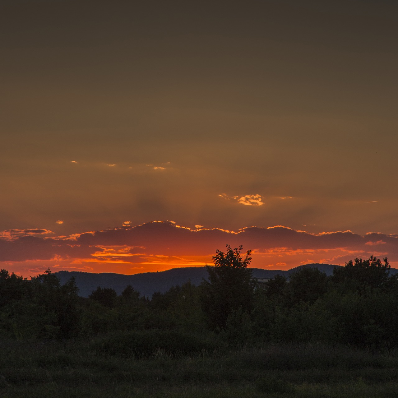 sunset in the evening the sky free photo