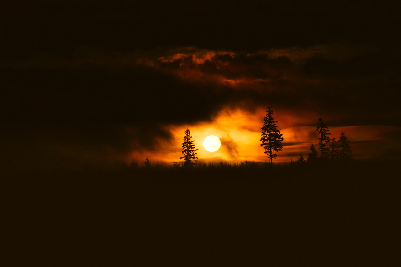 sunset dusk wilderness free photo