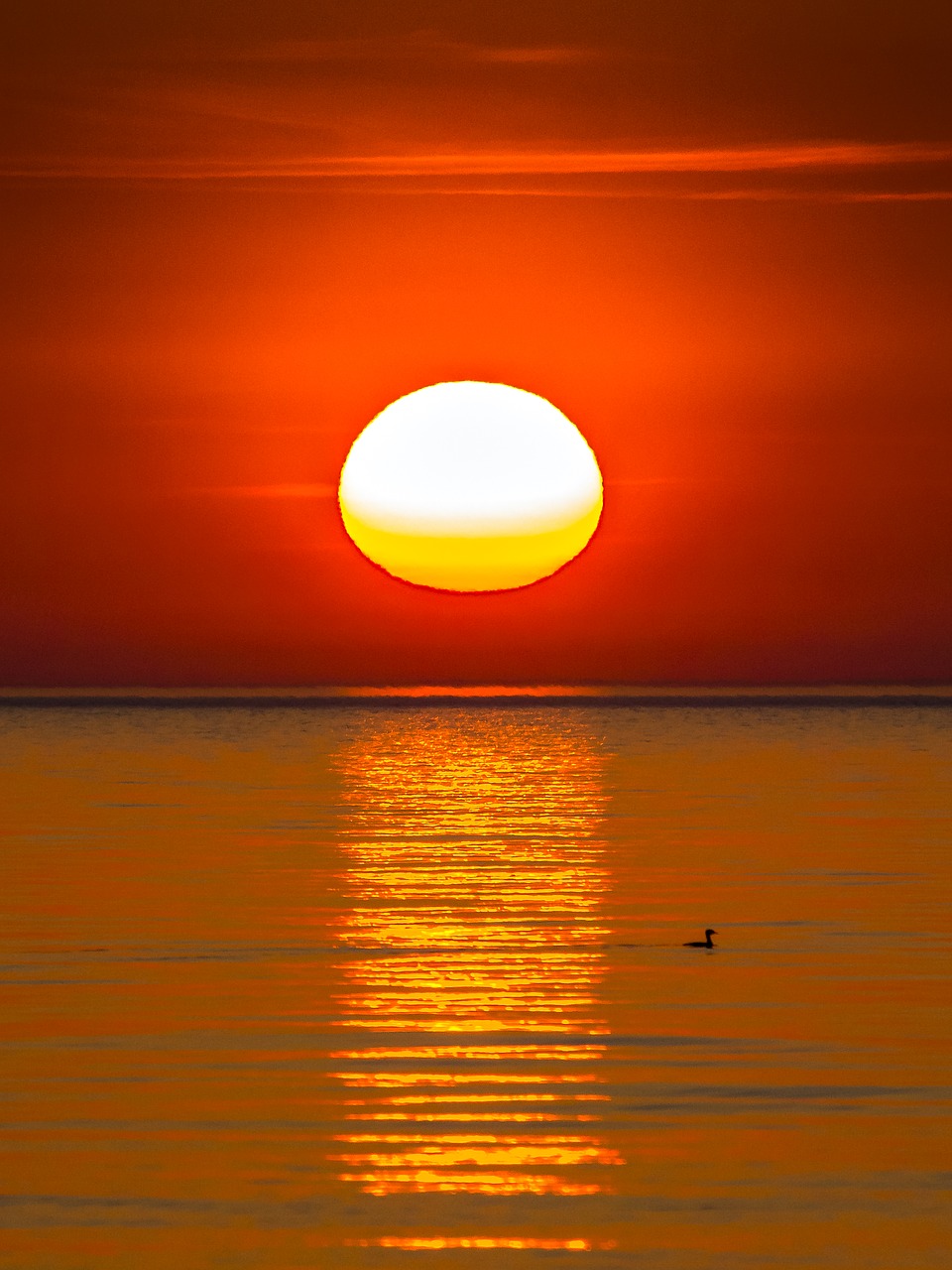 sunset landscape sea free photo