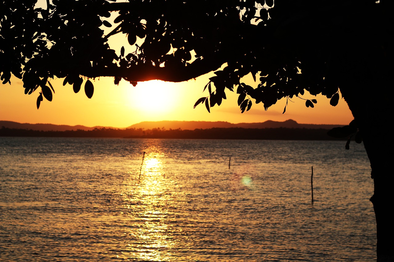 sunset afternoon brazil free photo