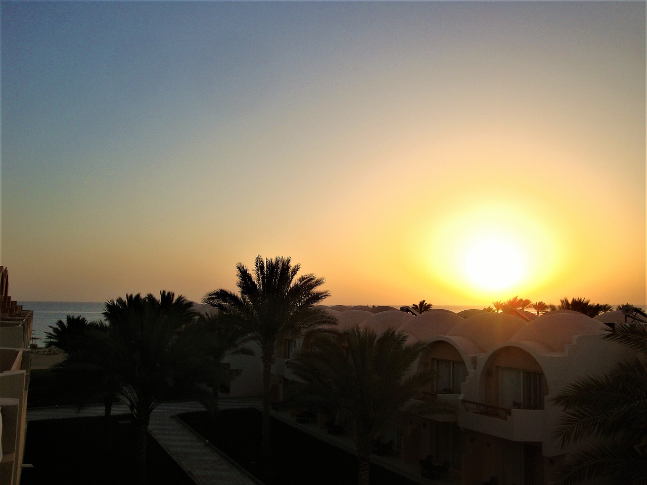 sunset palm trees dome free photo