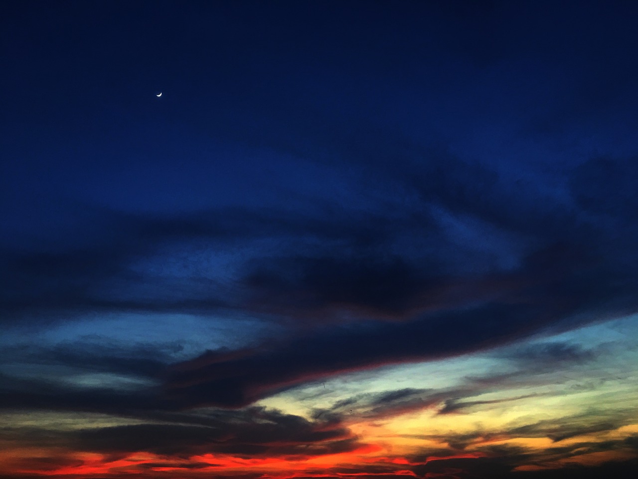 sunset nishishita tired bird returning home free photo