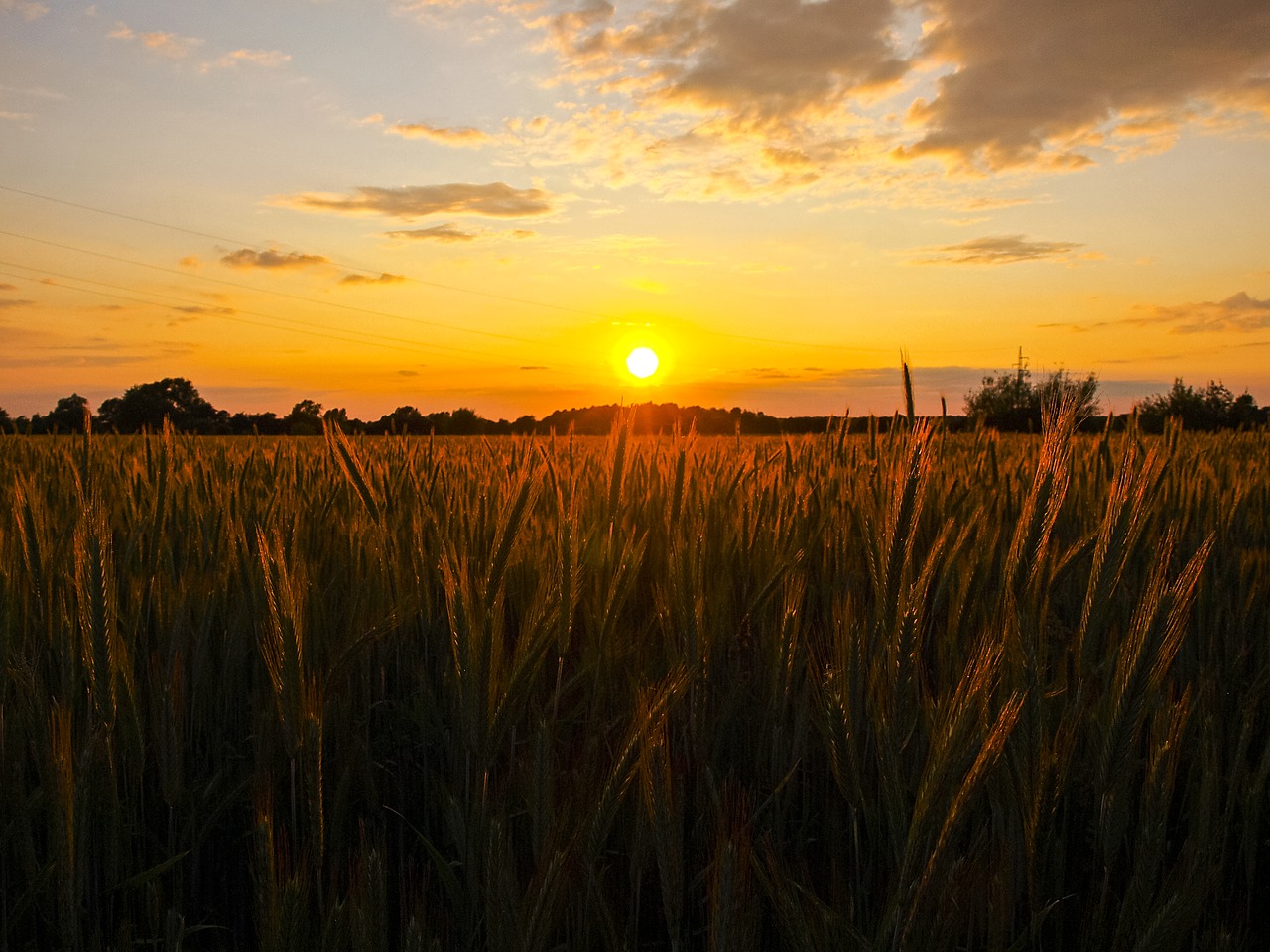 sunset sun twilight free photo