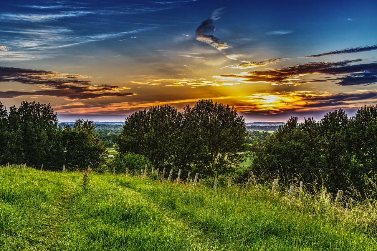 sunset meadow landscape free photo
