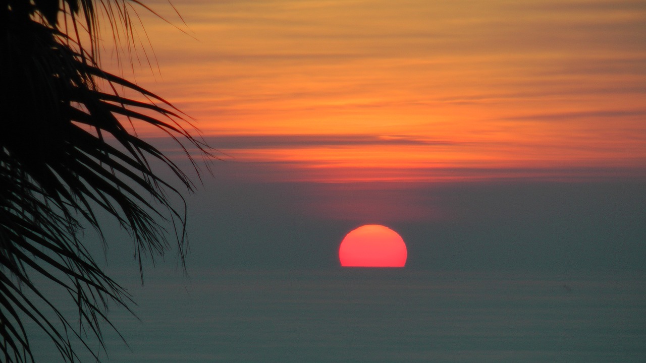 sunset palma sea free photo