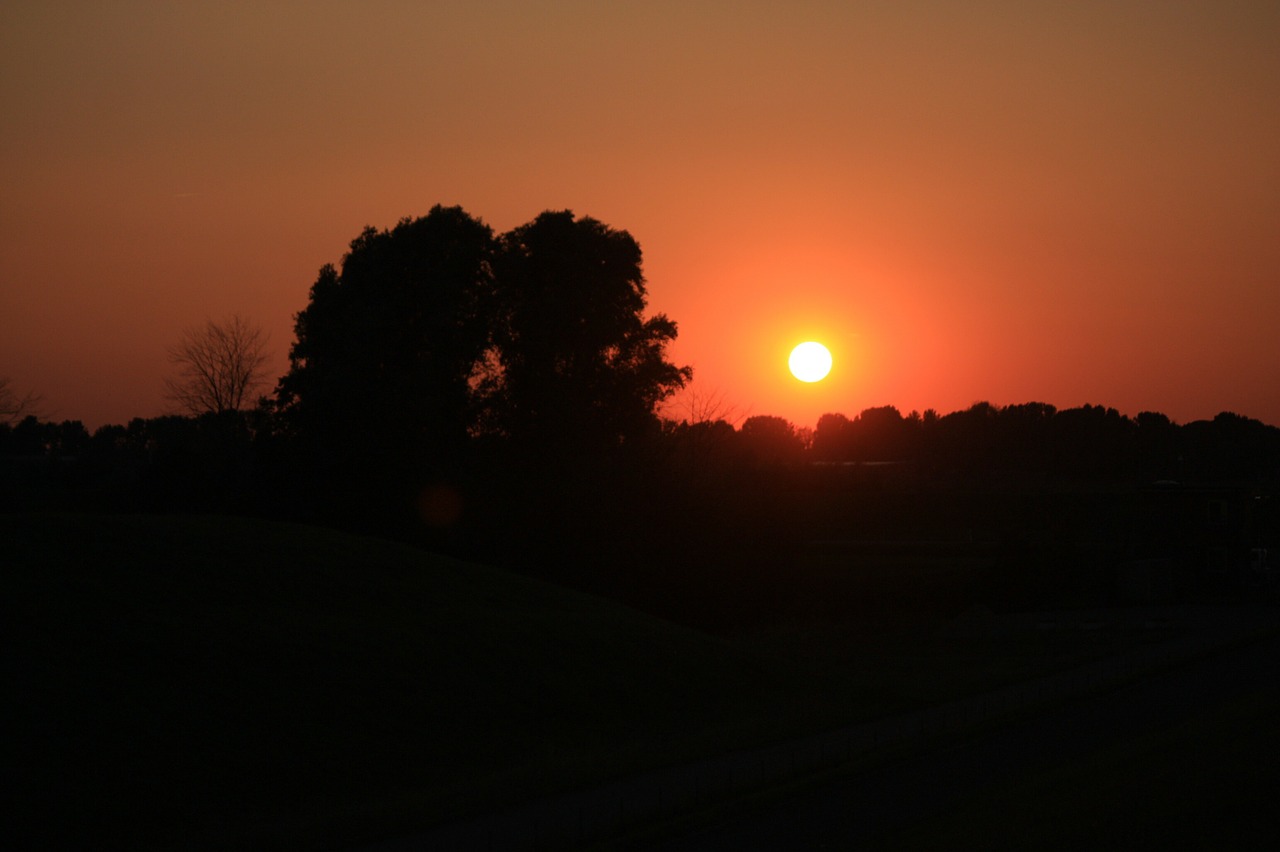 sunset trees evening sky free photo