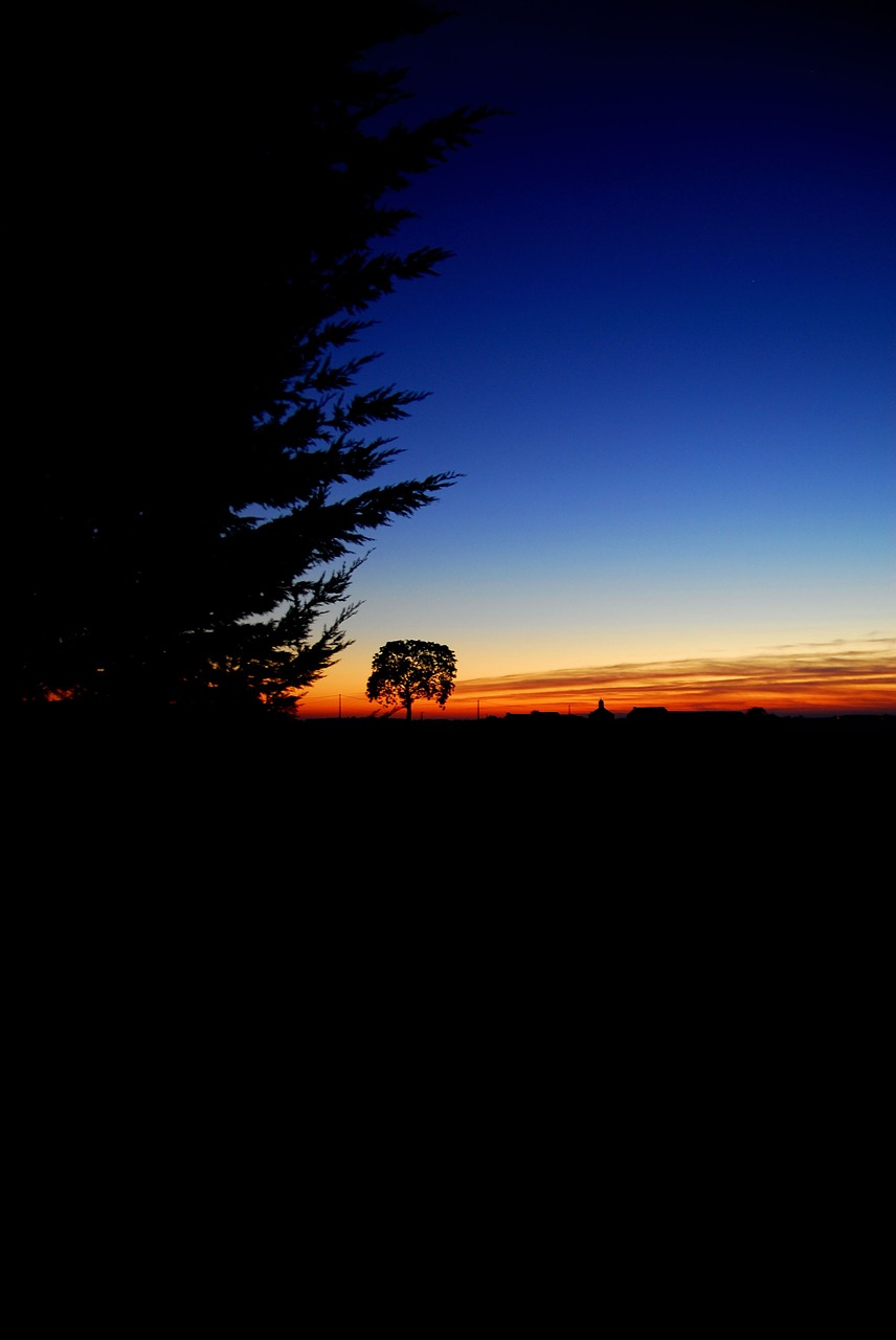 sunset night field free photo