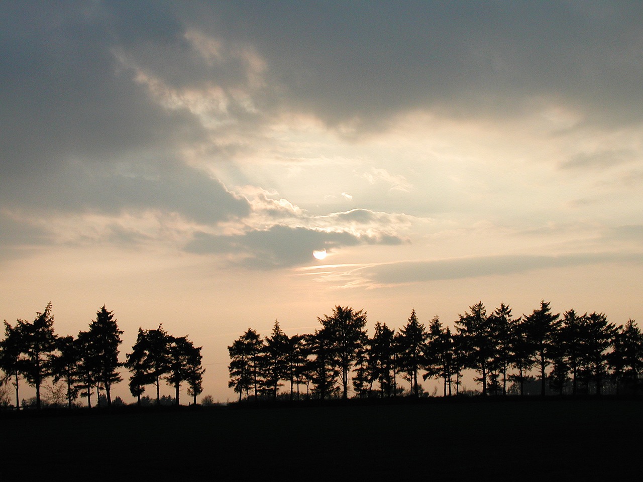 sunset fields sunlight free photo