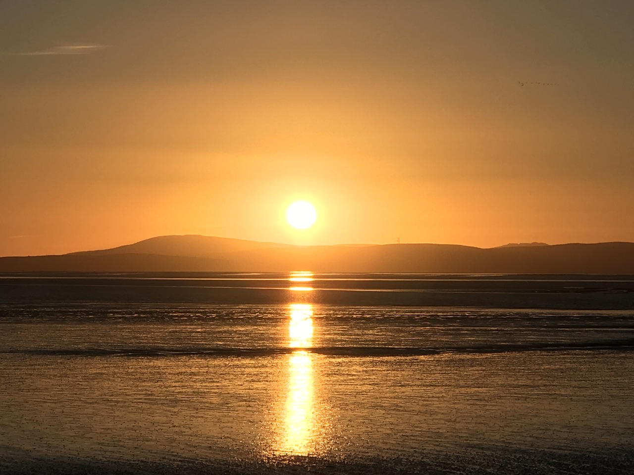 sunset yellow nature free photo