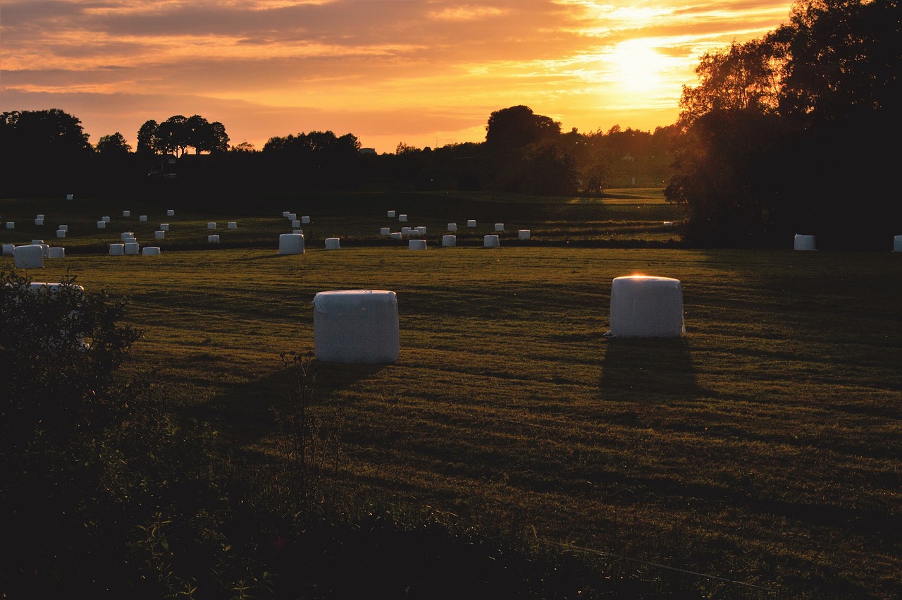 sunset beautifully outdoor free photo