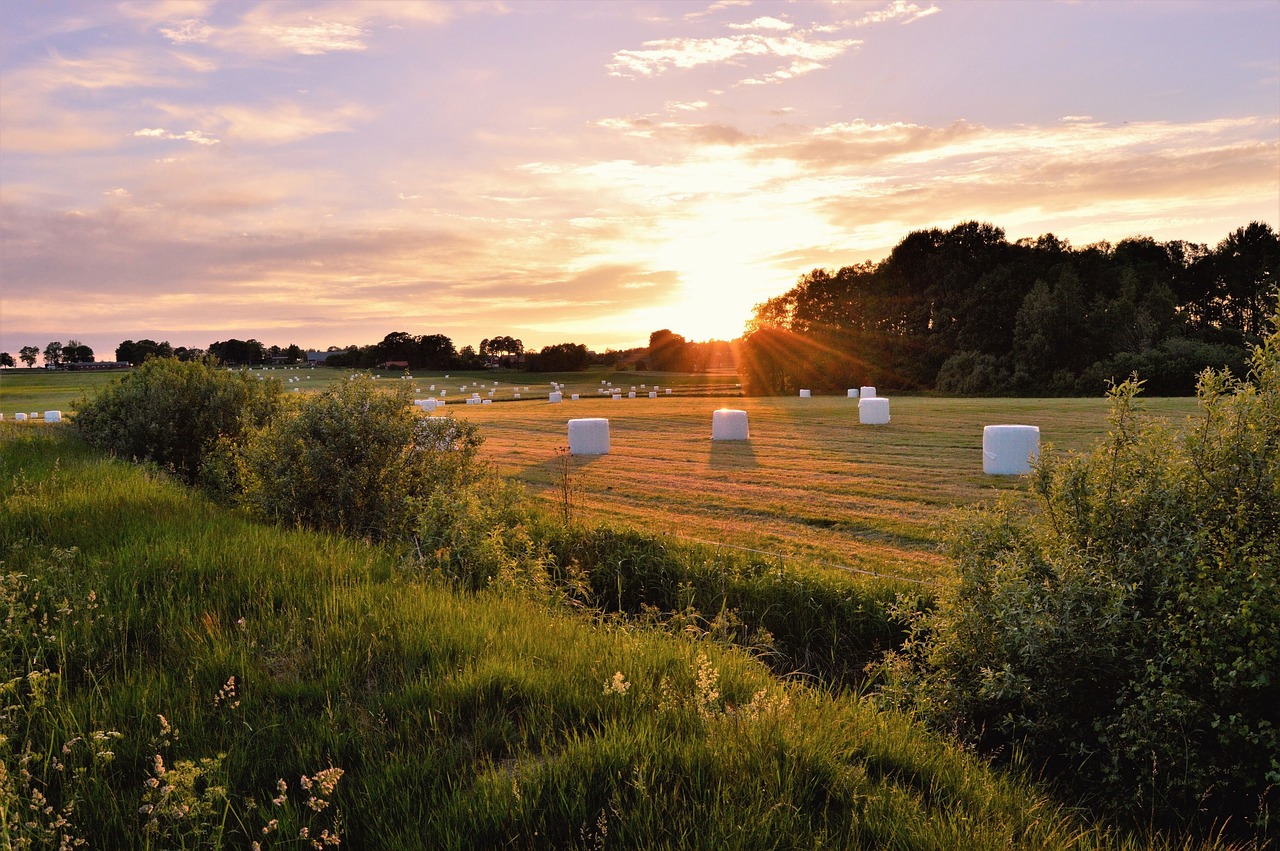 sunset sweden småland free photo