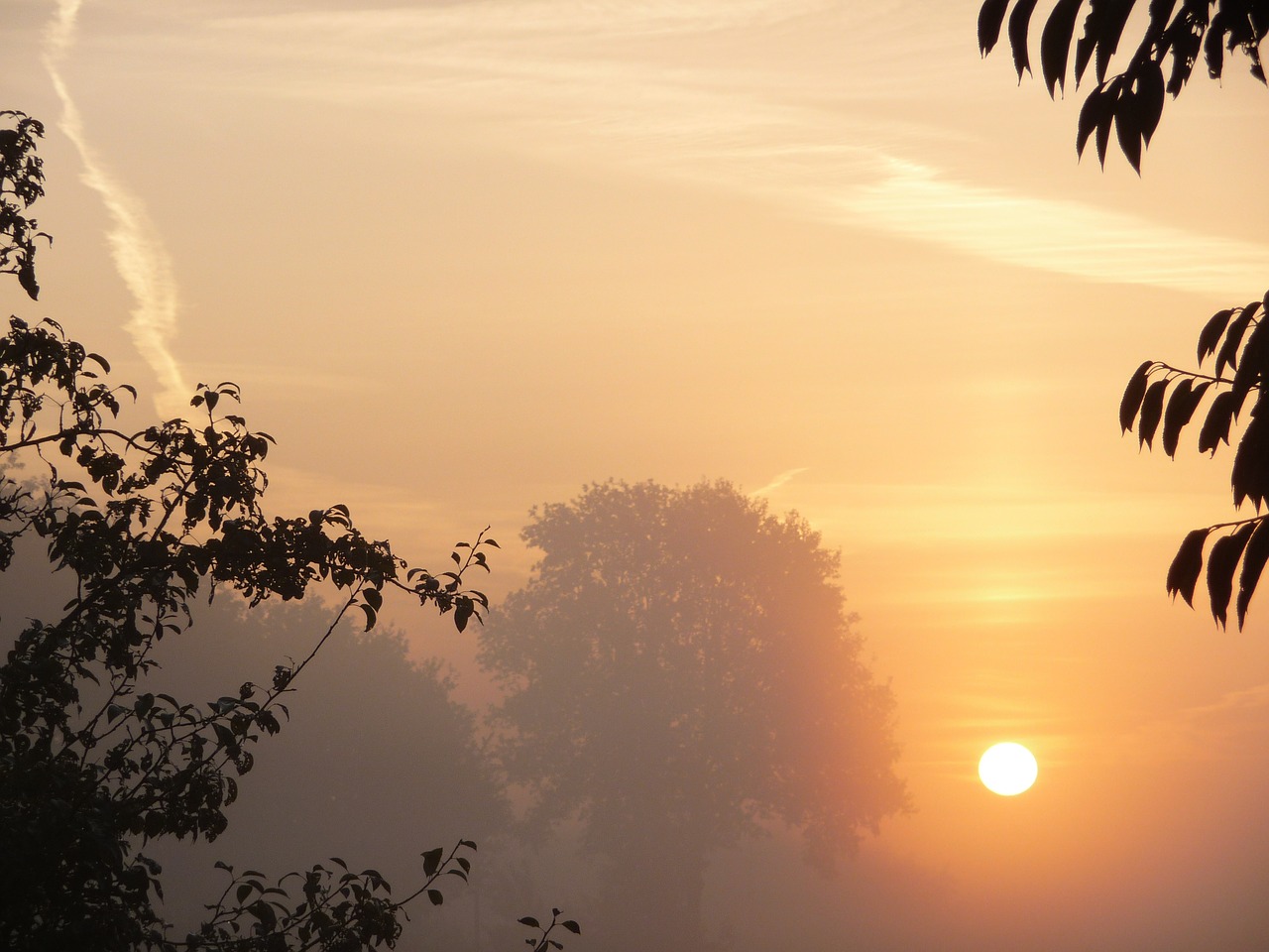 sunset fog foggy free photo