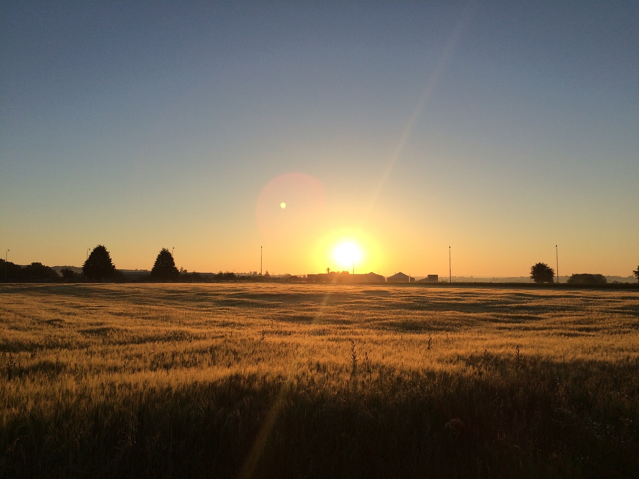 sunset sun field free photo