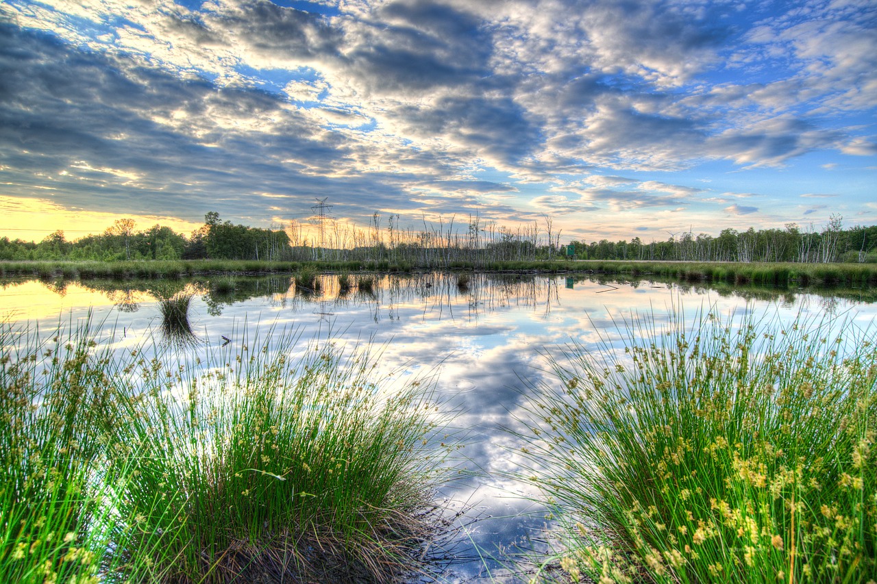 sunset colorful reflection free photo