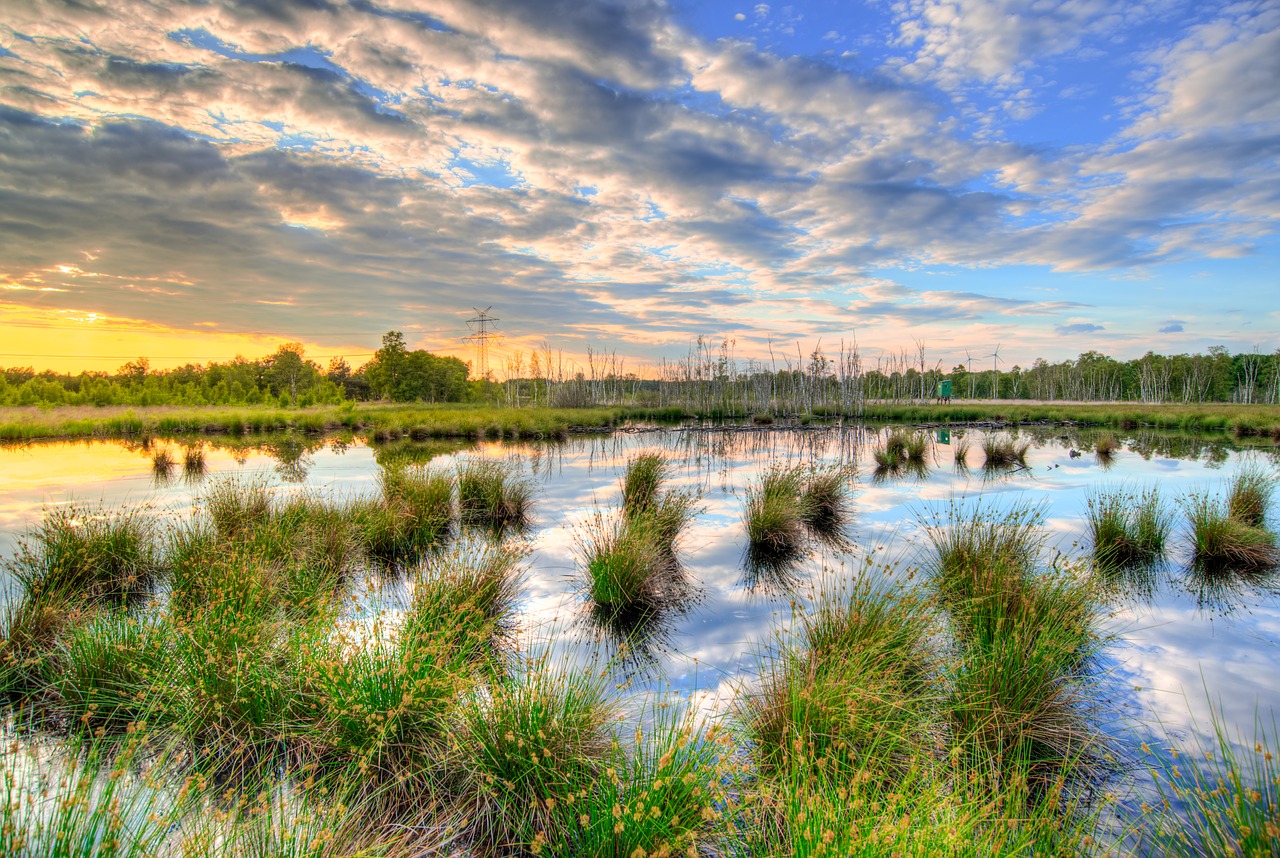 sunset colorful reflection free photo