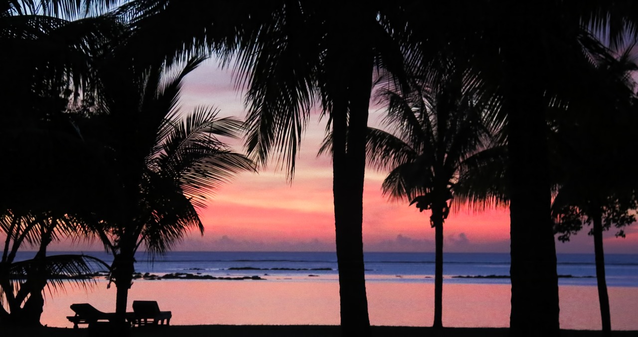 sunset palms tropical free photo