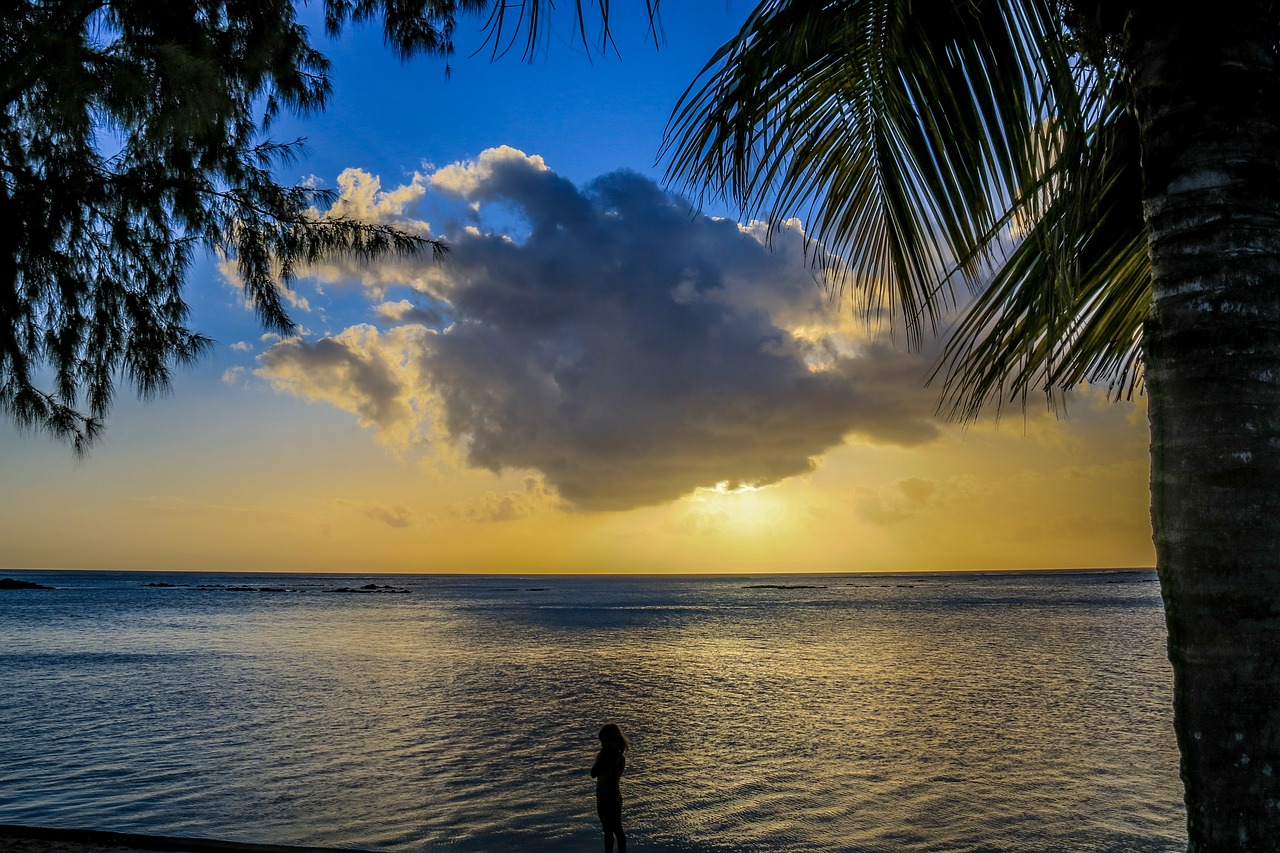 sunset clouds tropical free photo