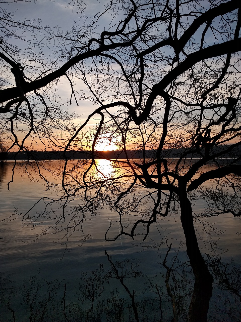 sunset lake tree free photo