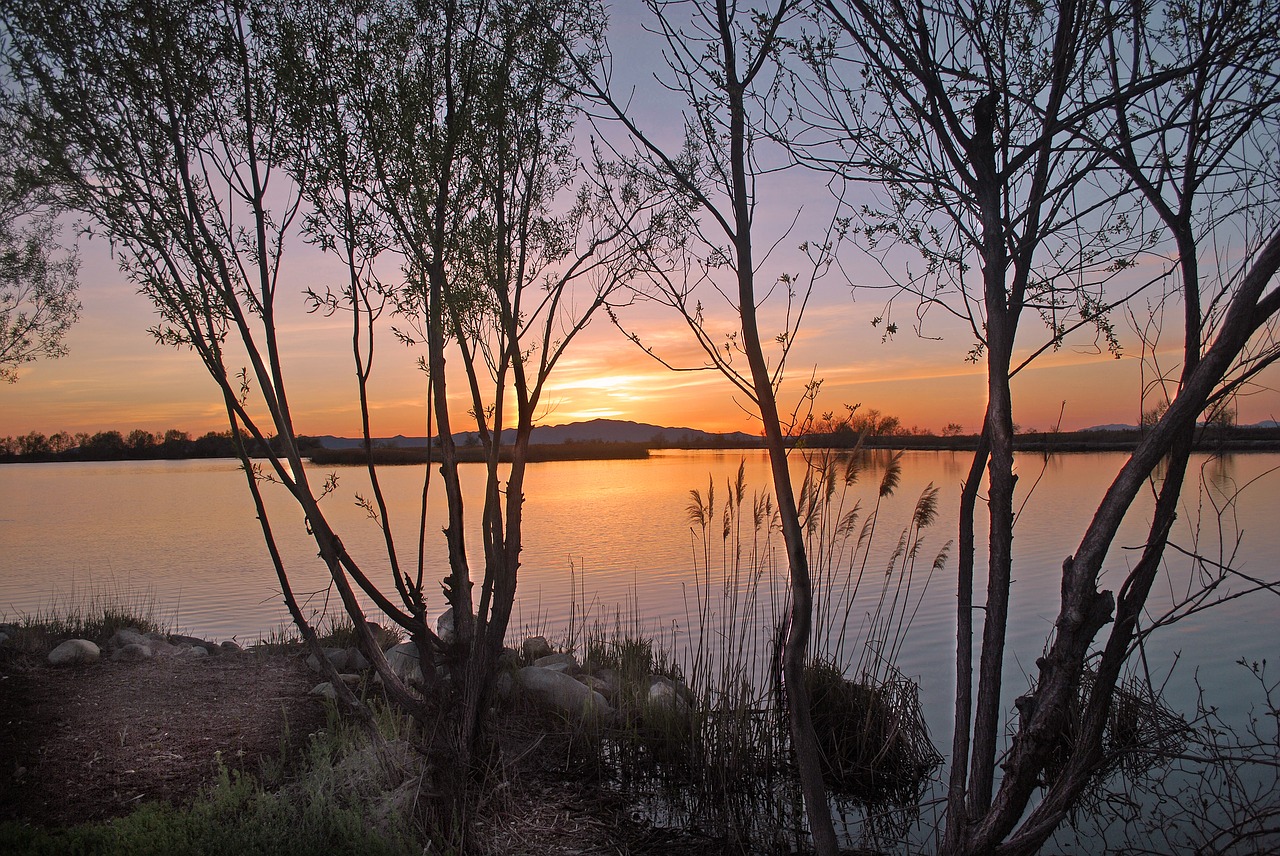 sunset lake trees free photo