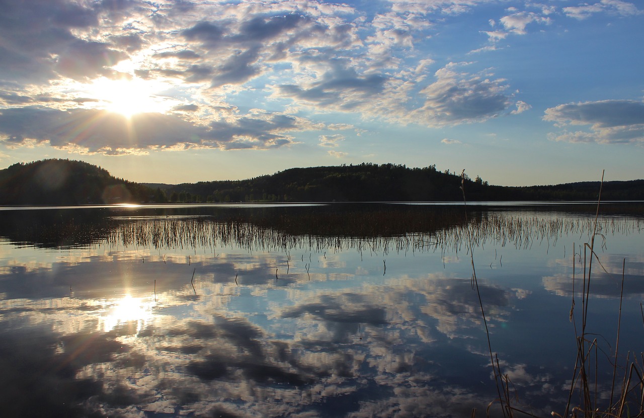 sunset summer himmel free photo