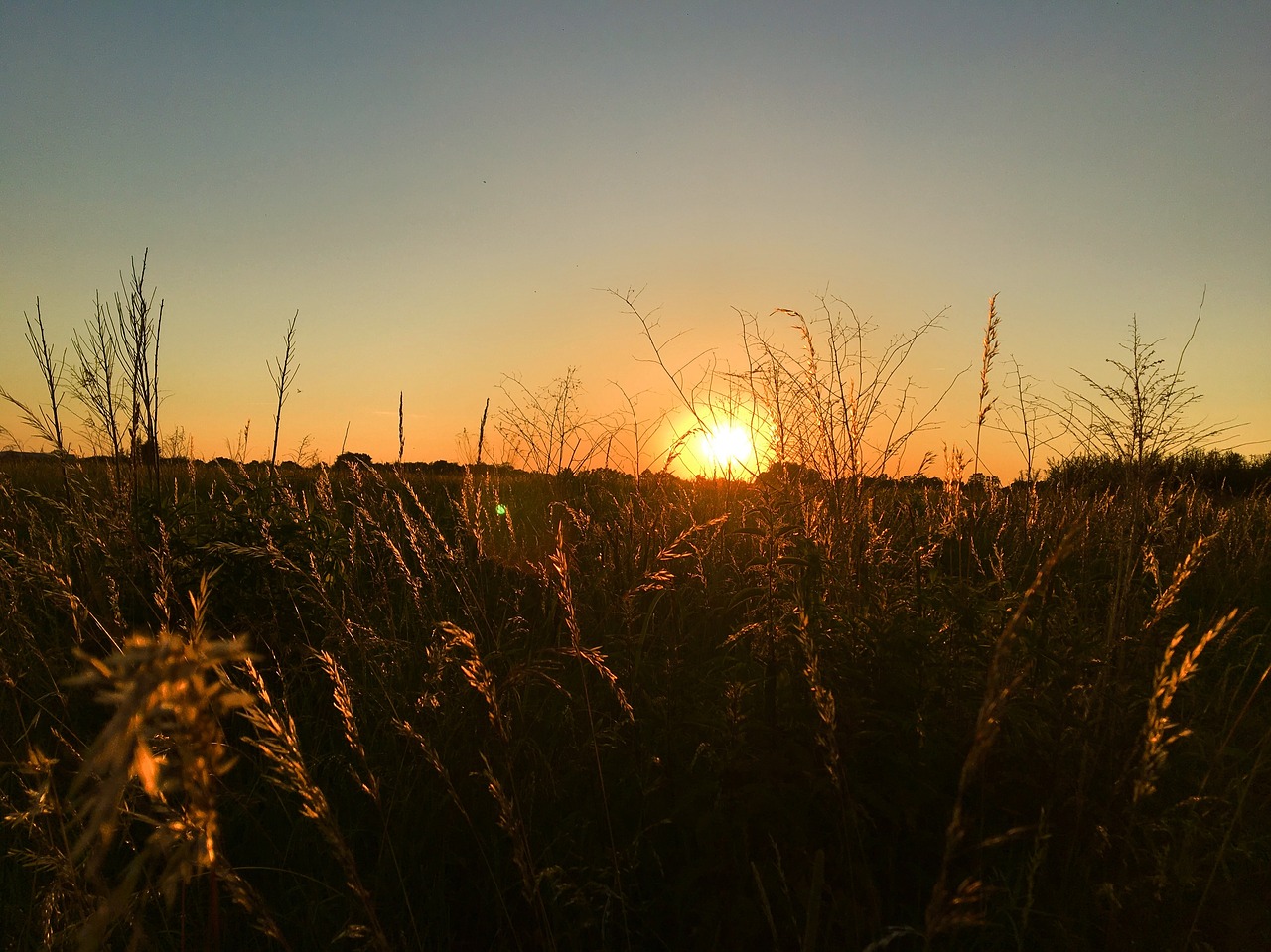 sunset nature himmel free photo