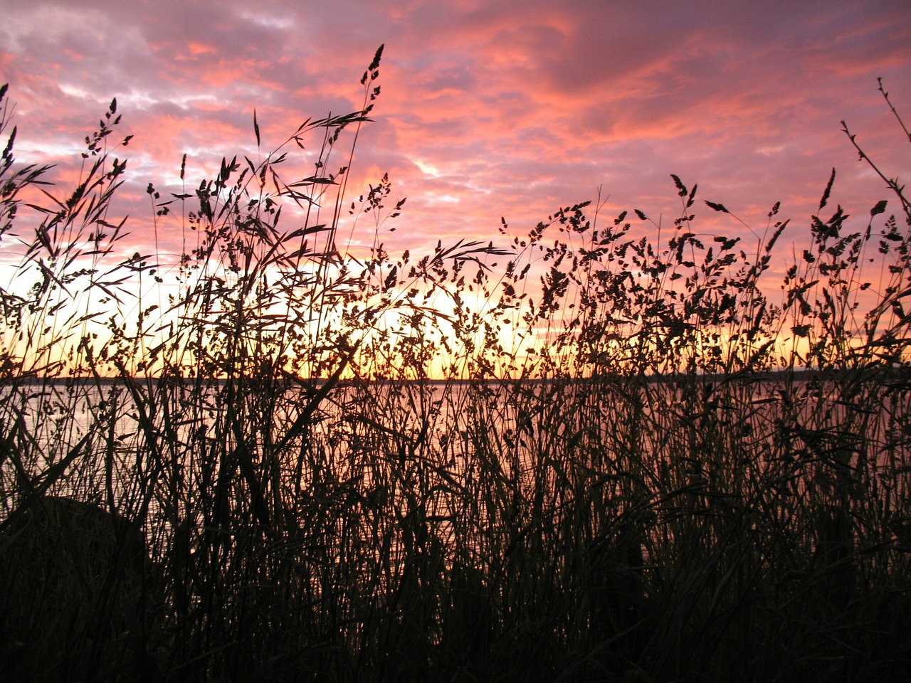 sunset landscape natural free photo