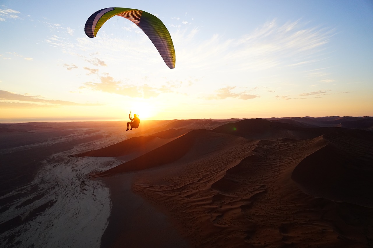 sunset fly freedom free photo