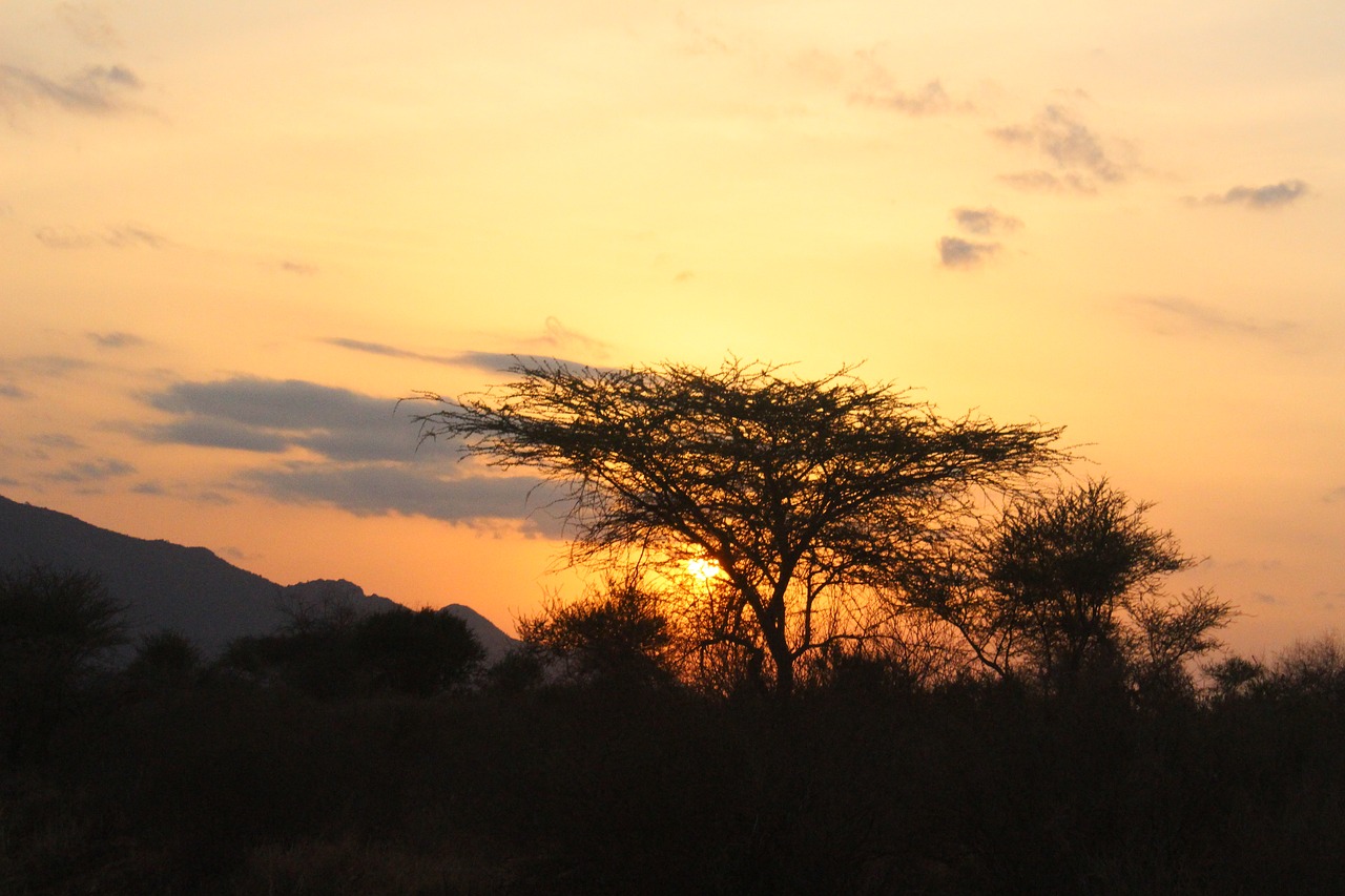 sunset natural kenya free photo