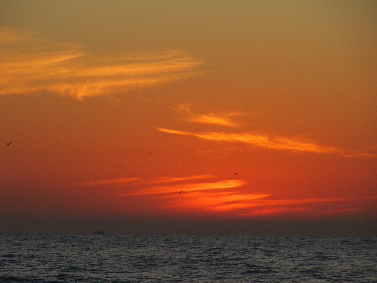 sunset sea afterglow free photo