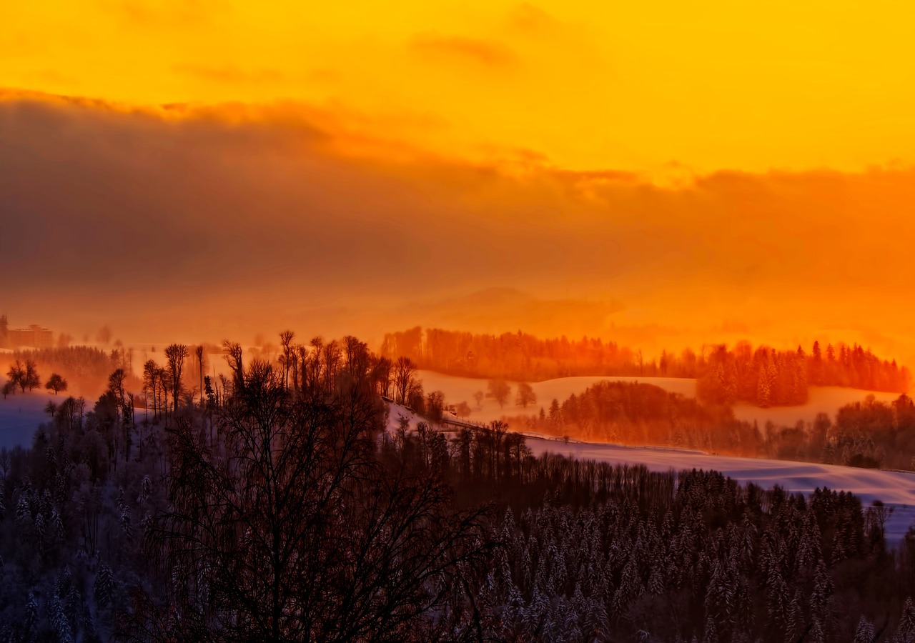 sunset orange sky free photo