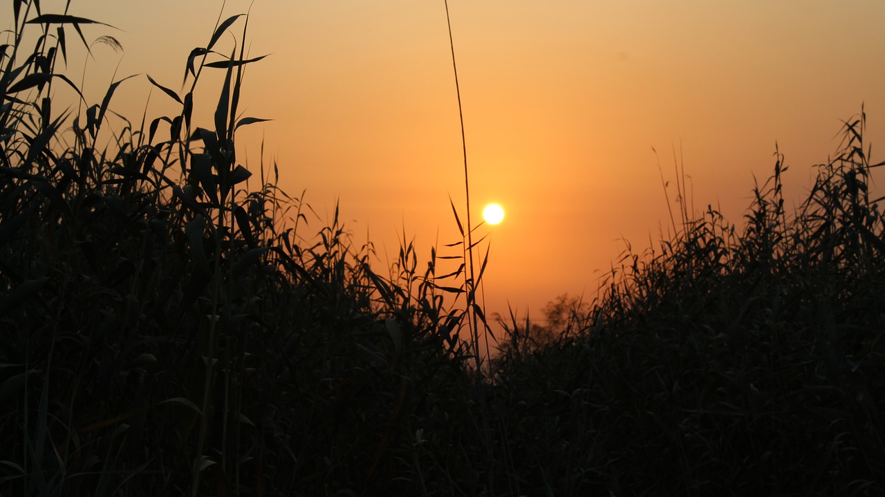 sunset farm orange free photo