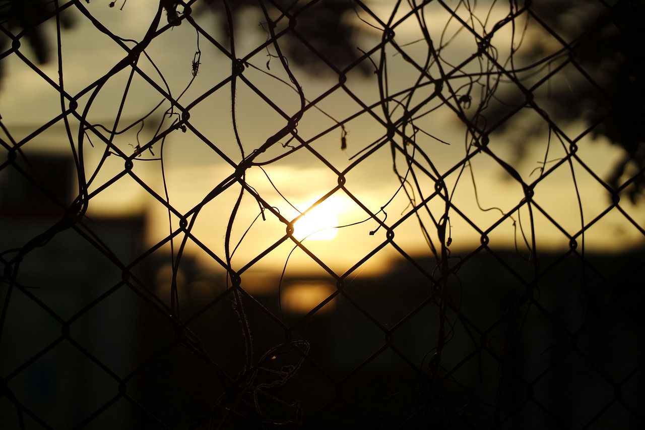 sunset barrier wire free photo