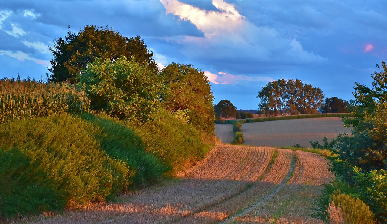 sunset landscape evening sky free photo