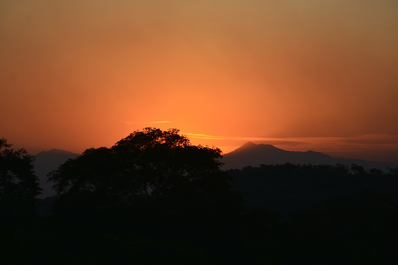 sunset silhouette nature free photo