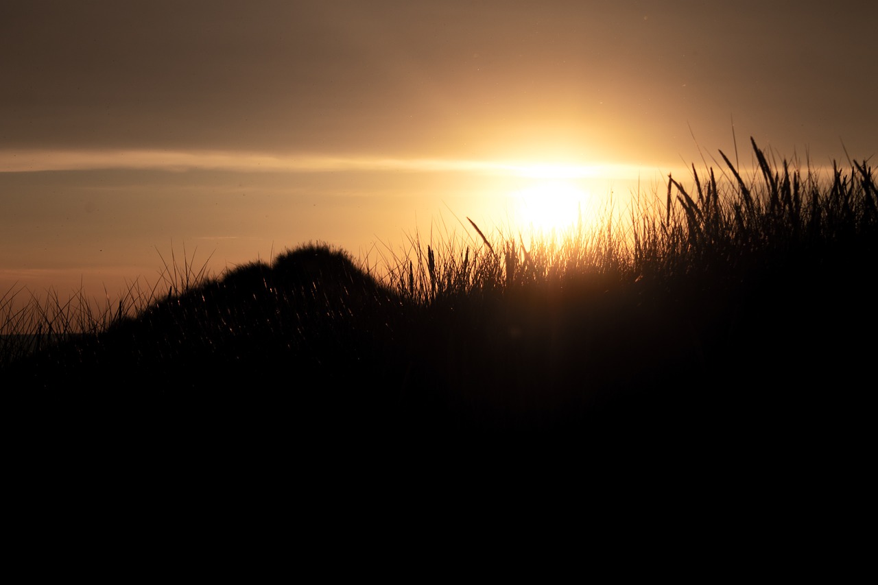 sunset dunes denmark free photo