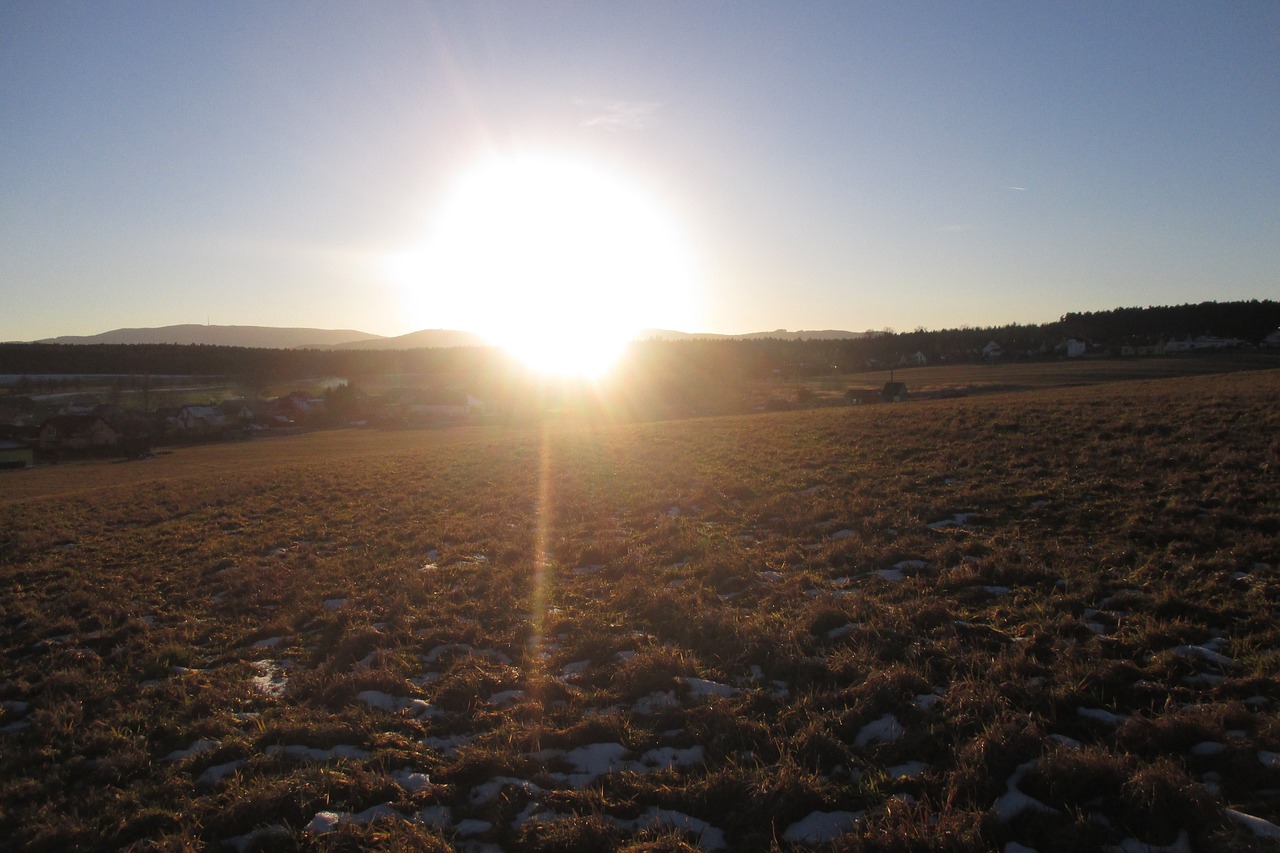 sunset meadow evening free photo