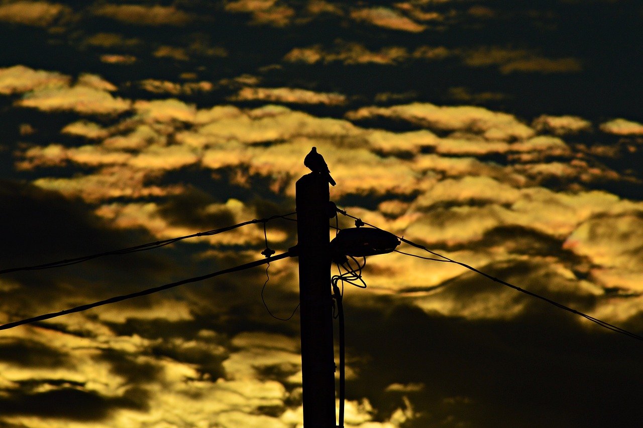 sunset silhouette mood free photo