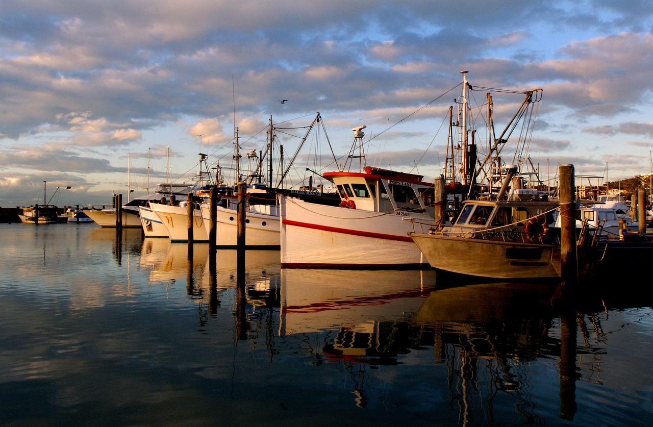 sunset marina boats free photo