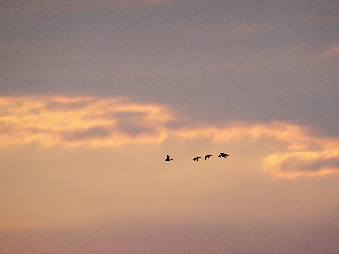 sunset sky clouds free photo